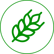 allergies icon