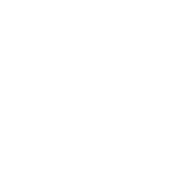 mobile phone icon